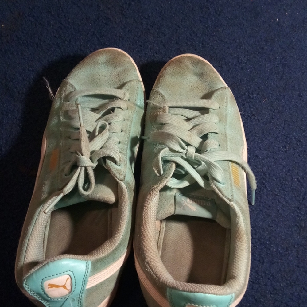 Blue pumas